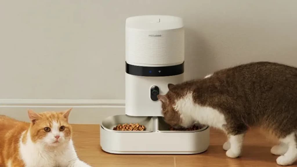 How to evaluate the risks of smart pet feeders