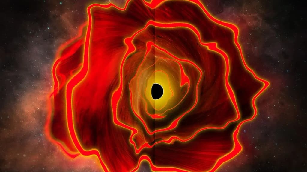 What is a black hole star