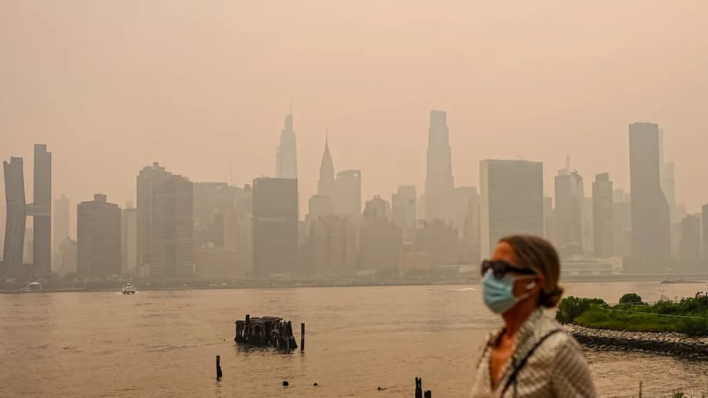How wildfire smoke affects prenatal health and development