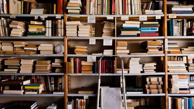 The ethics and mechanics of using rare books for AI training
