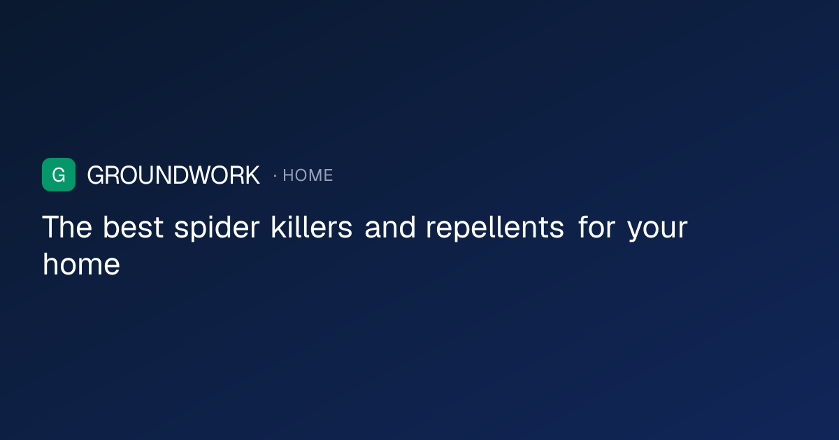 The best spider killers and repellents for your home