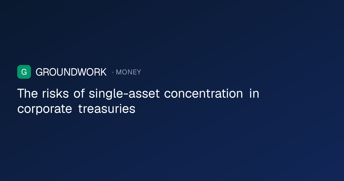 The risks of single-asset concentration in corporate treasuries
